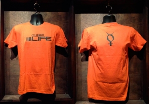 CELEBRATE LIFE "T-SHIRT - ORANGE"