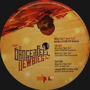 THE DANGERFEEL NEWBIES "WHAT AM I HERE FOR?" (KAI ALCE)