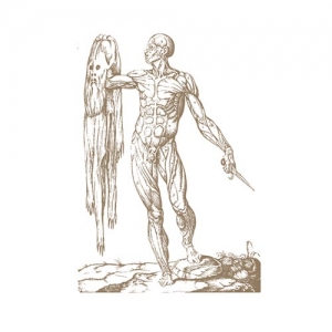 CHASING VOICES "AWOKEN BY TEARS"