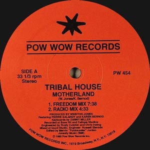 TRIBAL HOUSE "MOTHERLAND"