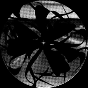 THEO PARRISH "DANCE OF THE MEDUSA EP"