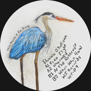 SHAWN O'SULLIVAN "FREE FLIGHT"