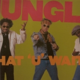 JUNGLE BROTHERS "WHAT U WAITIN' 4"