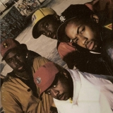 DIAMOND D "SALLY GOT A ONE TRACK MIND"