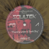 SOULTEK "DREAMING UNDER A STARLIT SKY"