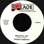 BERNARD SPIDER HARRISON "BEAUTIFUL DAY"