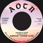 ELBERNITA TWINKIE CLARK 