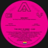 BRANDY "THE BOY IS MINE" (BOBBI HALLSTROM RMX.)