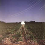 BEACON "ESCAPEMENTS"