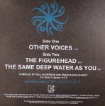 THE CURE "OTHER VOICES"