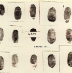 GRAY "SHADES OF GRAY LP" (JEAN MICHEL BASQUIAT)