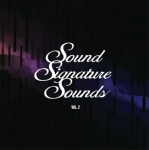 THEO PARRISH "SOUND SIGNATURE SOUNDS VOL. 2"