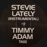 STEVIE WONDER "LATELY" (TIMMY REGISFORD RMX.)