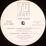 THE VISION "LAIDBACK & GROOVY/SHARDE"