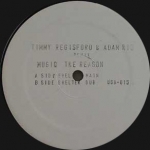 MUSIQ SOULCHIILD "REASON" (TIMMY REGISFORD)