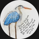 SHAWN O'SULLIVAN "FREE FLIGHT"